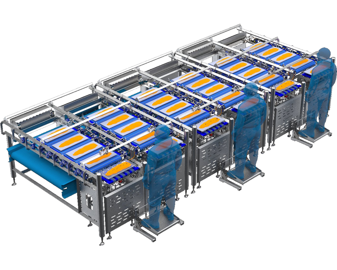 Optimizadoras de Precision de Peso Fijo MERITENS para Salmon